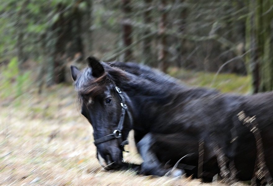 DSC_5312.JPG