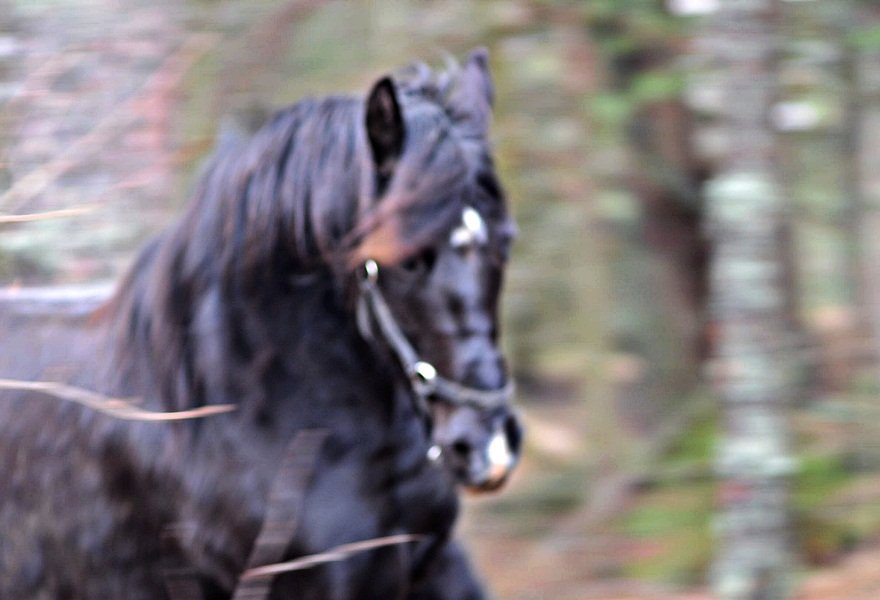 DSC_5328.JPG