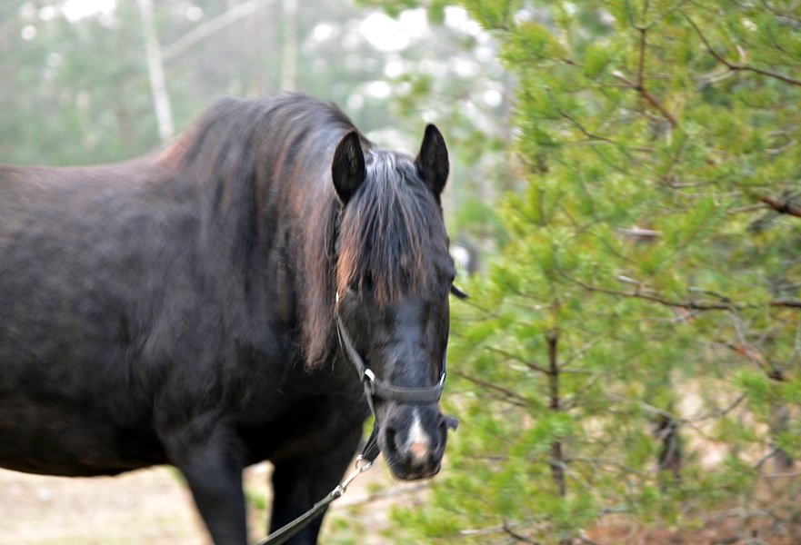 DSC_5376.JPG