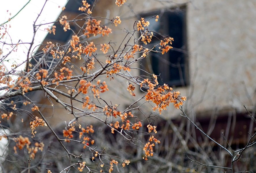 DSC_5461.JPG