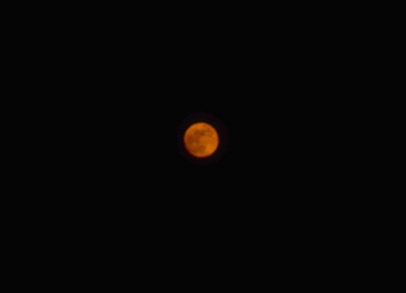 DSC_5490.JPG