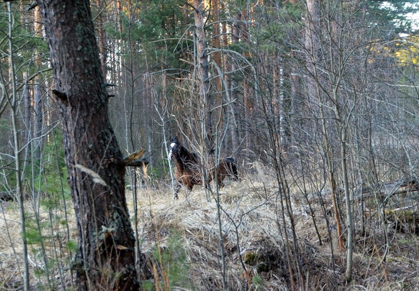 DSC_5553.JPG