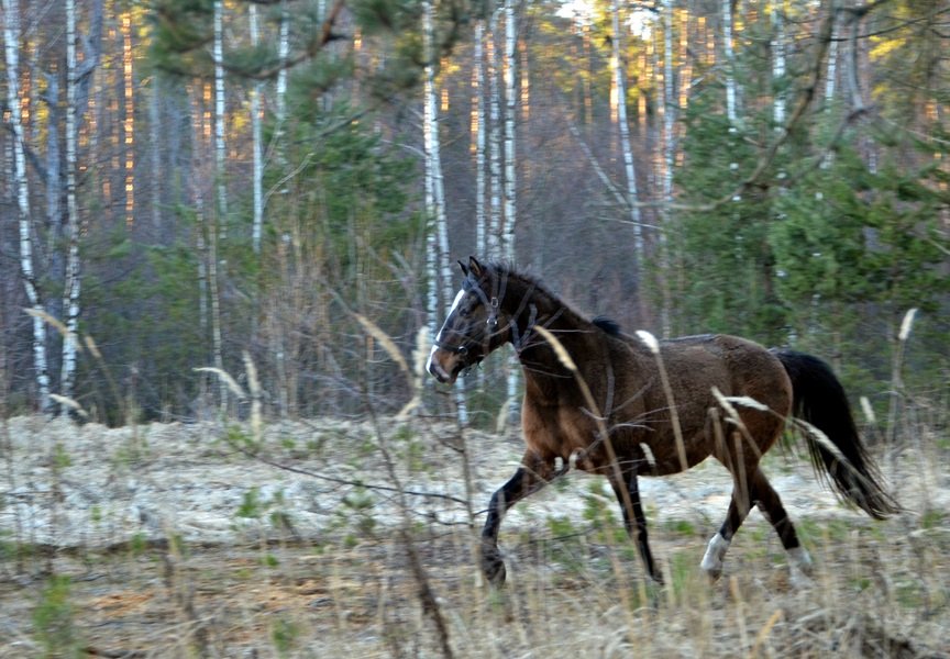 DSC_5554.JPG