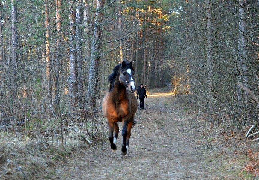 DSC_5562.JPG