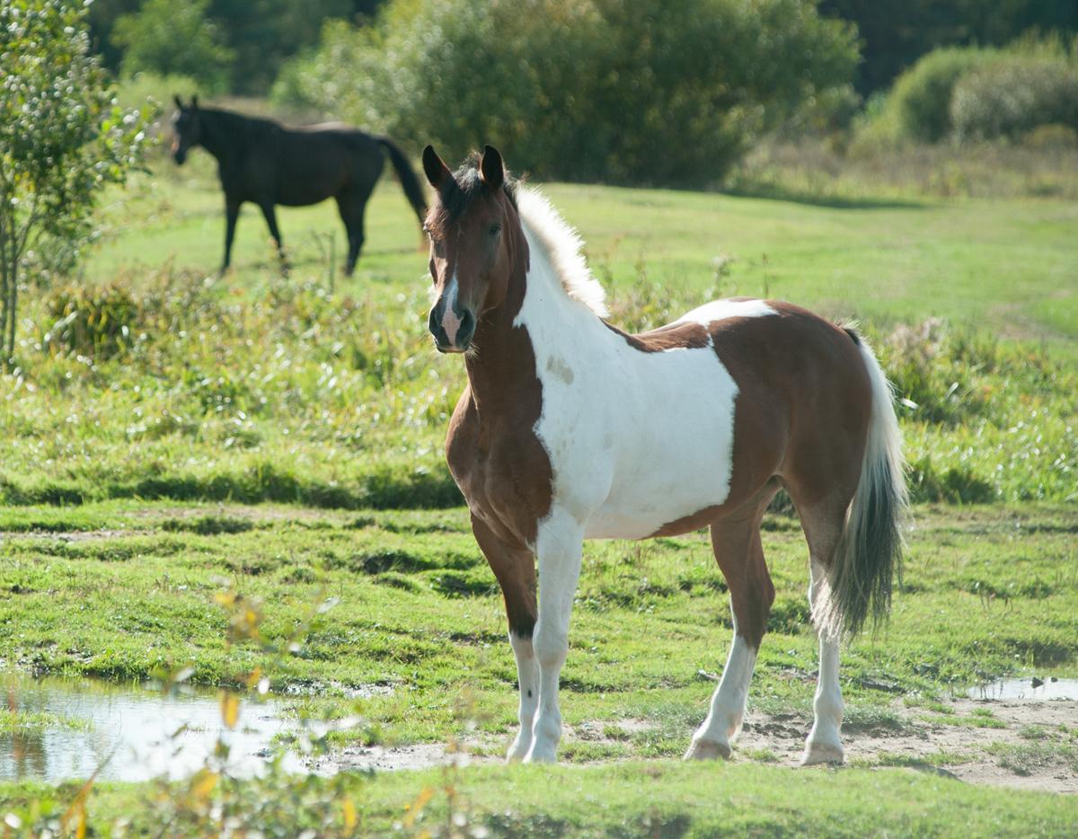 DSC_5614.jpg