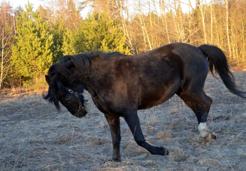DSC_5617.JPG