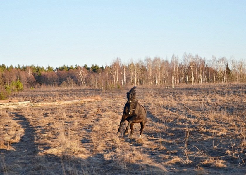 DSC_5622.JPG