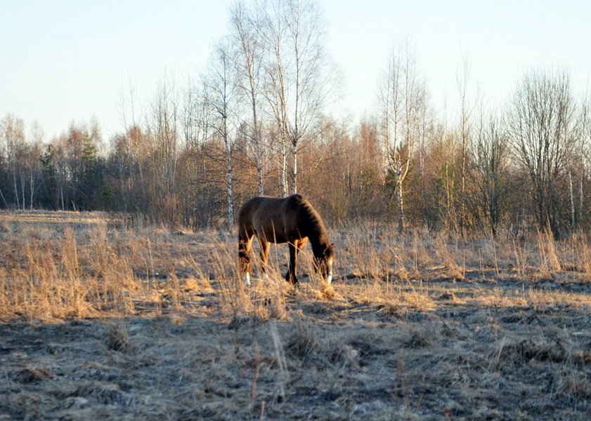 DSC_5658.JPG