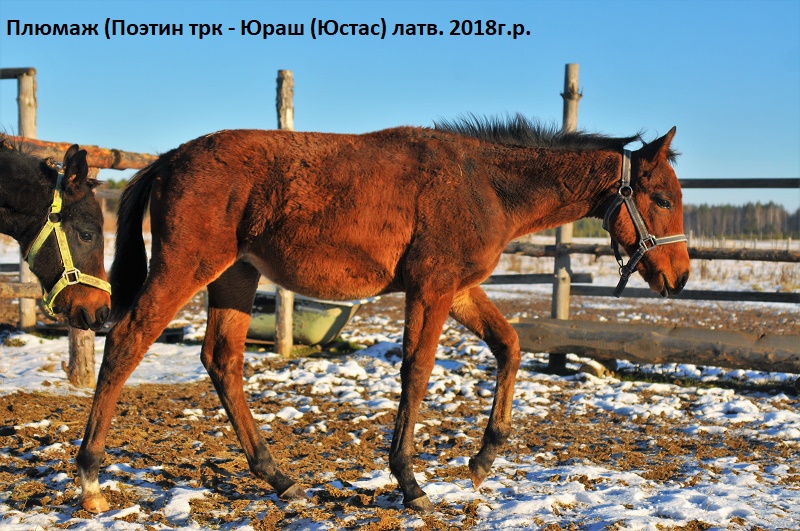 DSC_5666.JPG