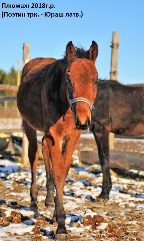 DSC_5670.JPG