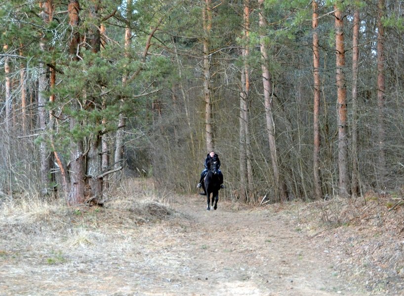 DSC_5757.JPG