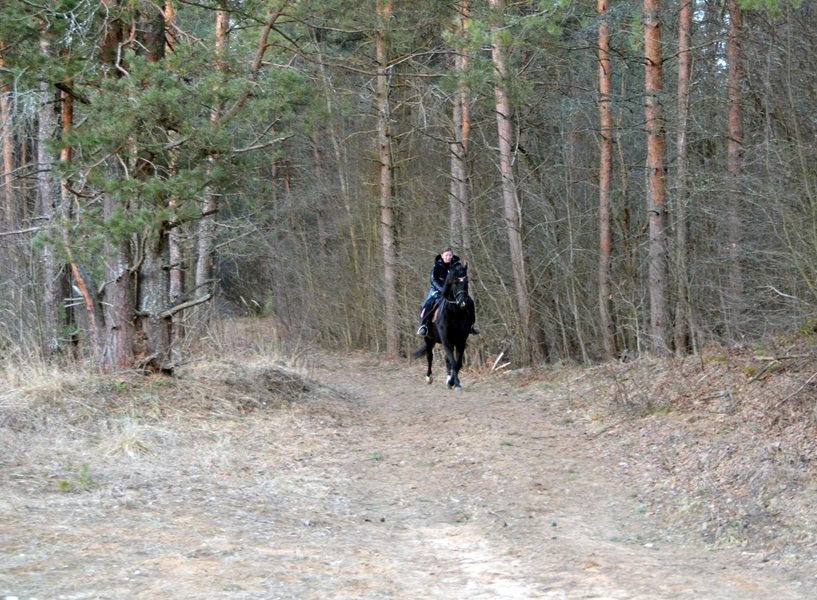 DSC_5758.JPG