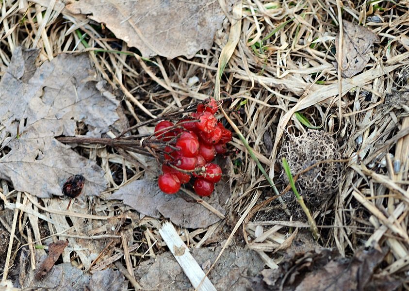 DSC_5815.JPG