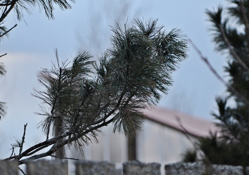 DSC_5982.JPG