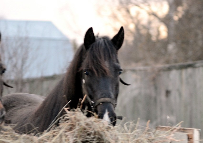 DSC_5993.JPG