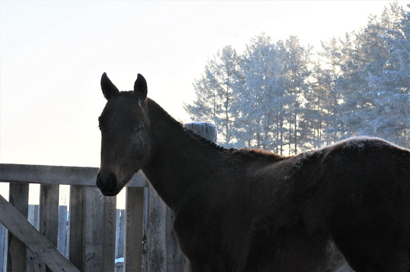 DSC_6035.JPG