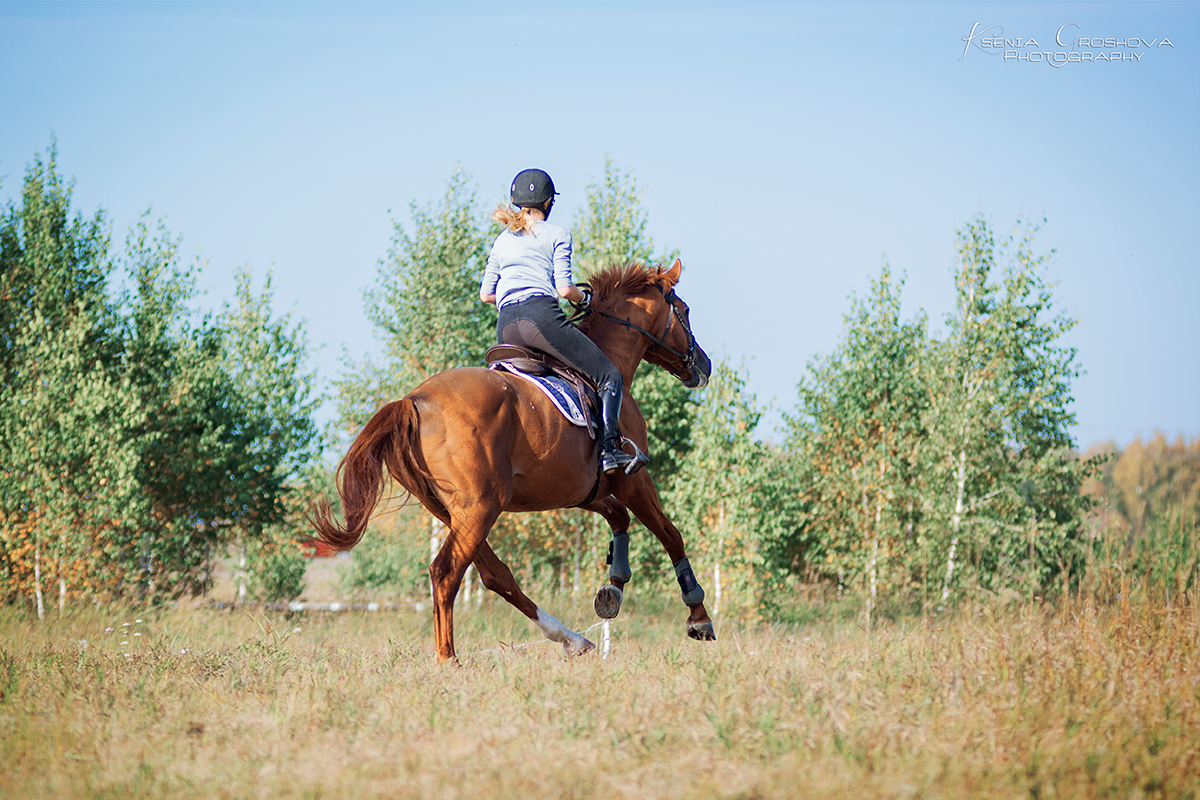 DSC_6050-веб.jpg