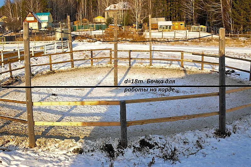 DSC_6293 (2) — копия.jpg