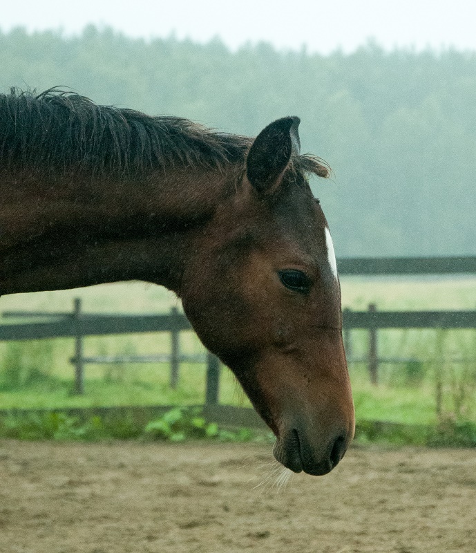 DSC_6381.jpg