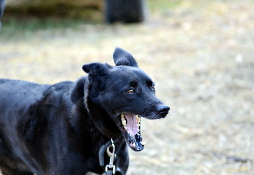 DSC_6420.JPG