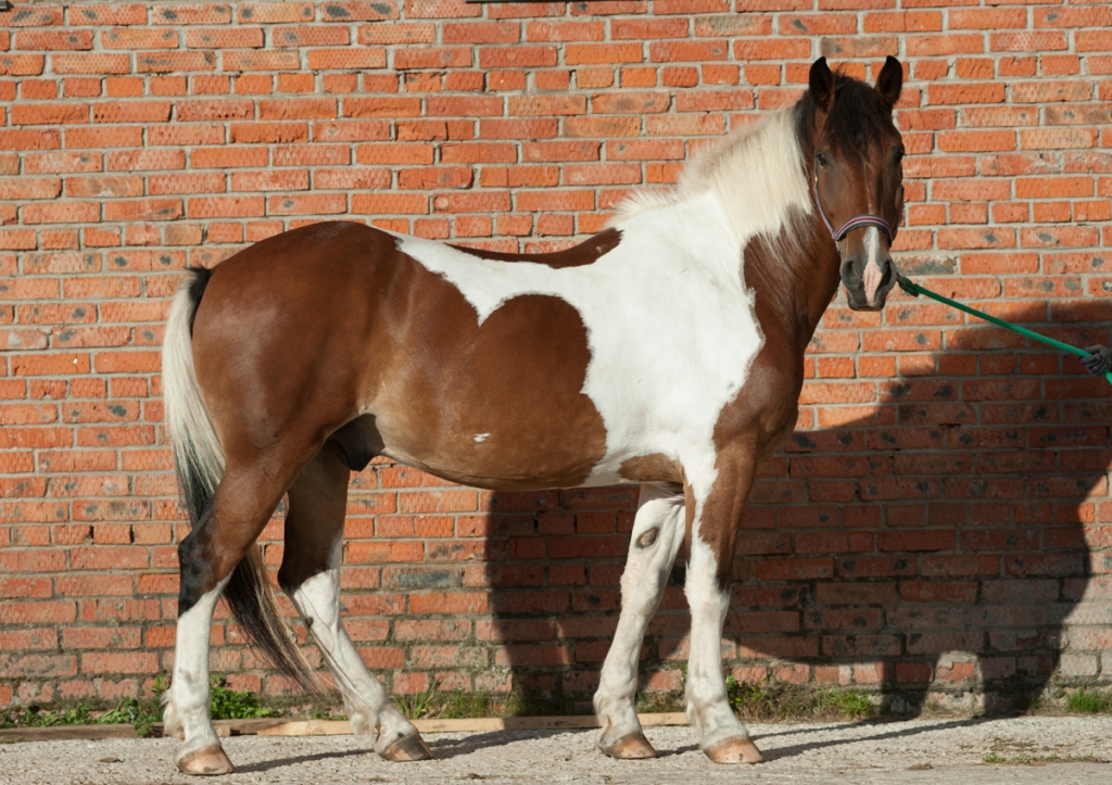 DSC_6434.jpg