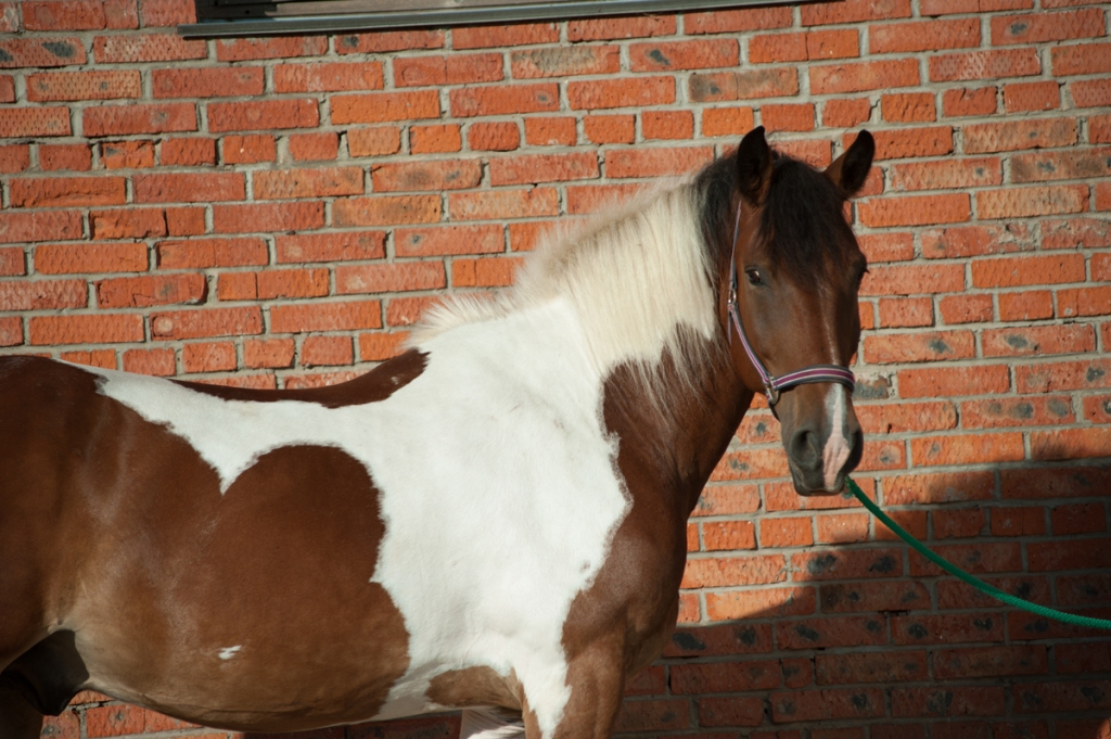 DSC_6435.jpg