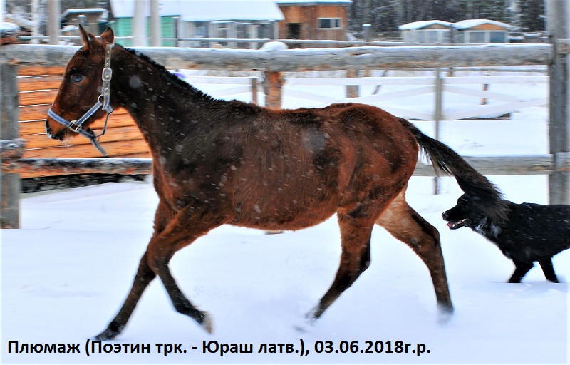 DSC_6508.JPG