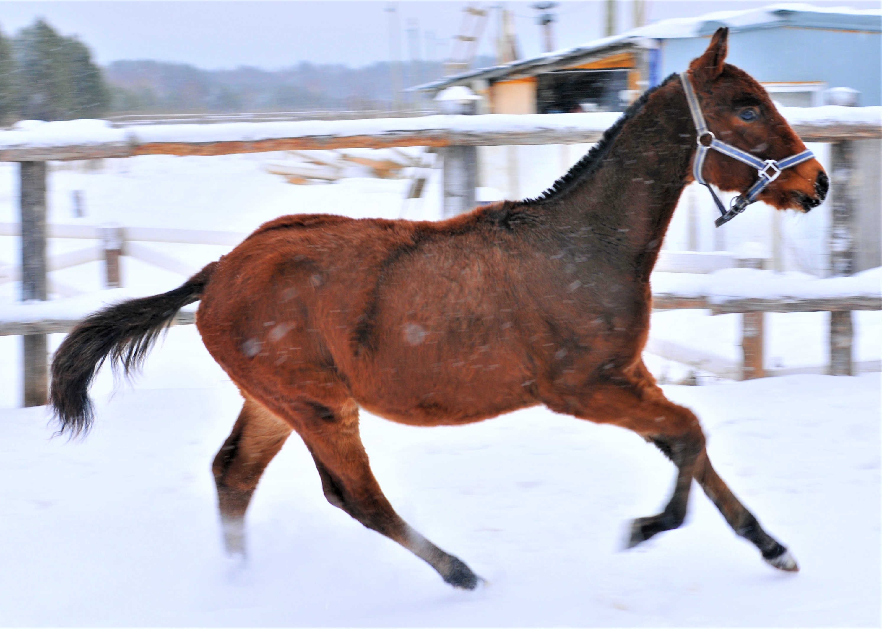 DSC_6535.JPG