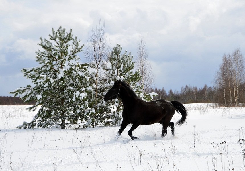 DSC_6607.JPG