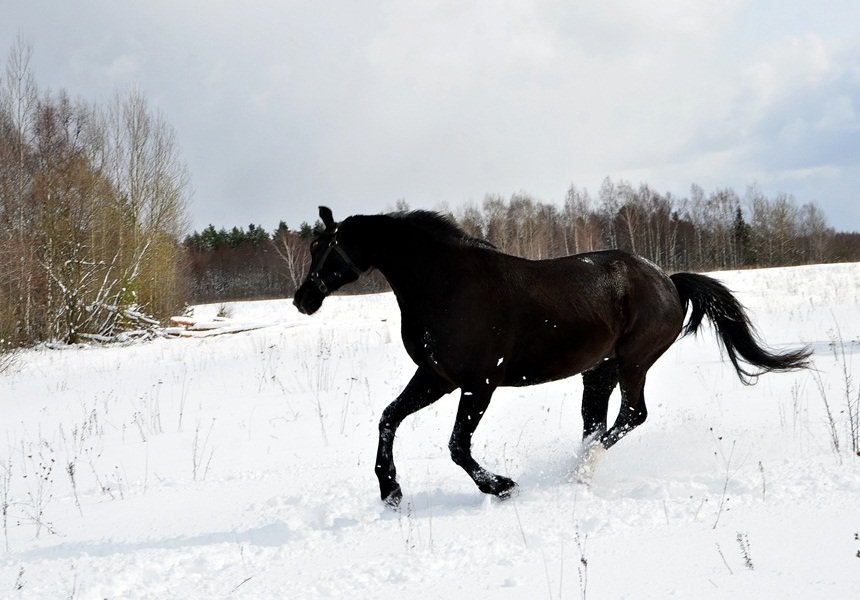 DSC_6609.JPG