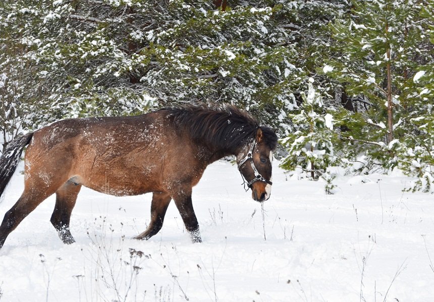DSC_6675.JPG