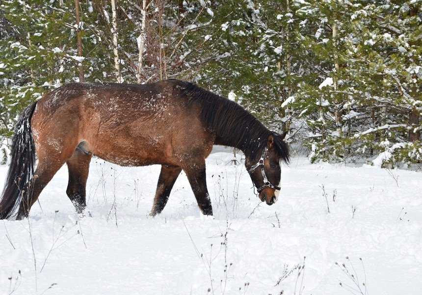 DSC_6676.JPG