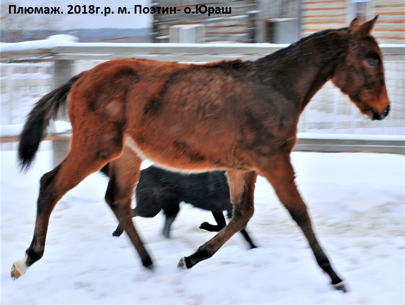 DSC_6680.JPG