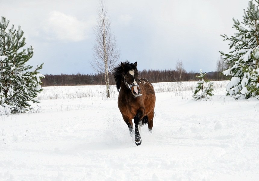 DSC_6682.JPG