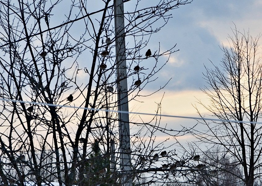 DSC_6704.JPG