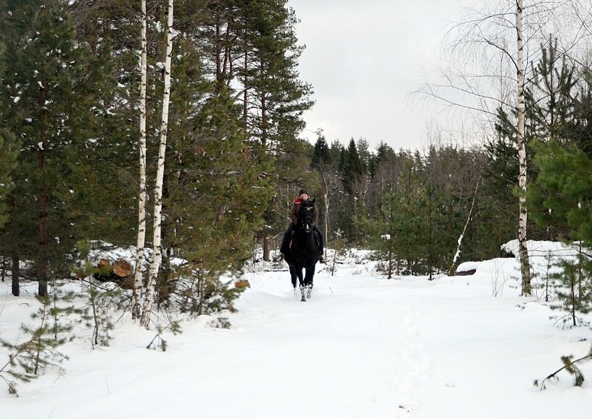 DSC_6773.JPG