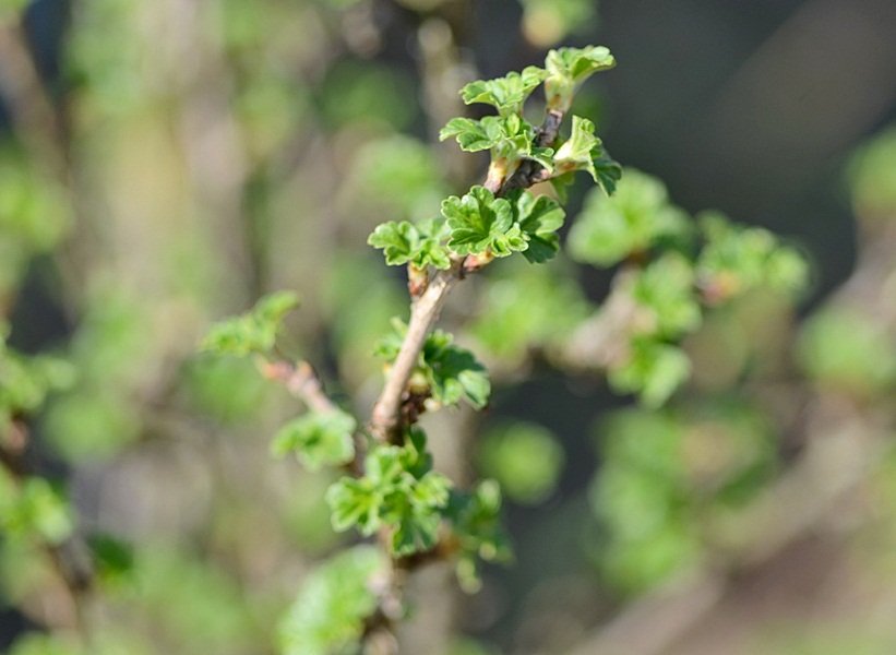 DSC_6836.JPG
