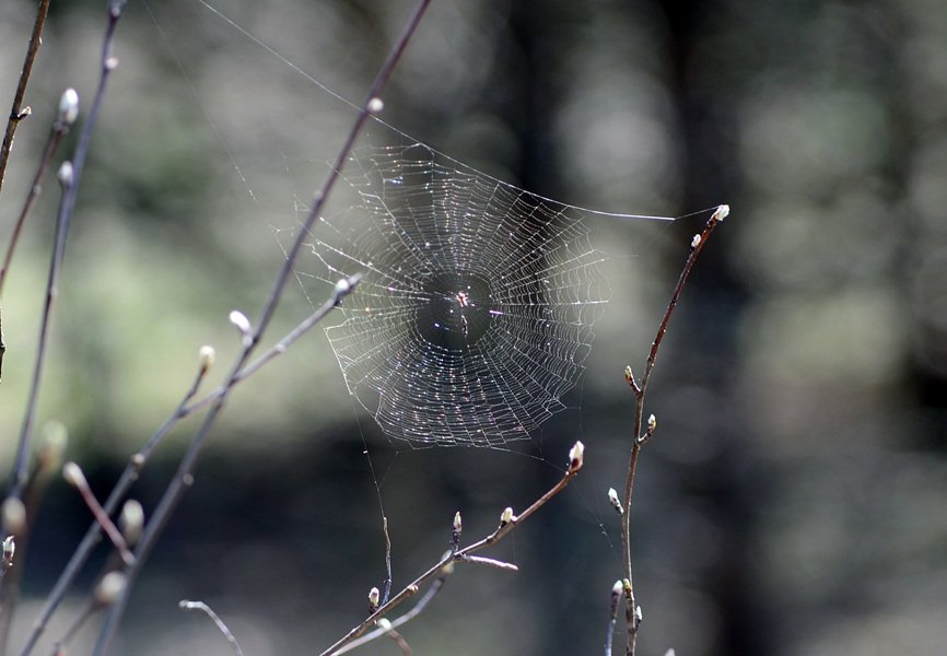 DSC_7114.JPG