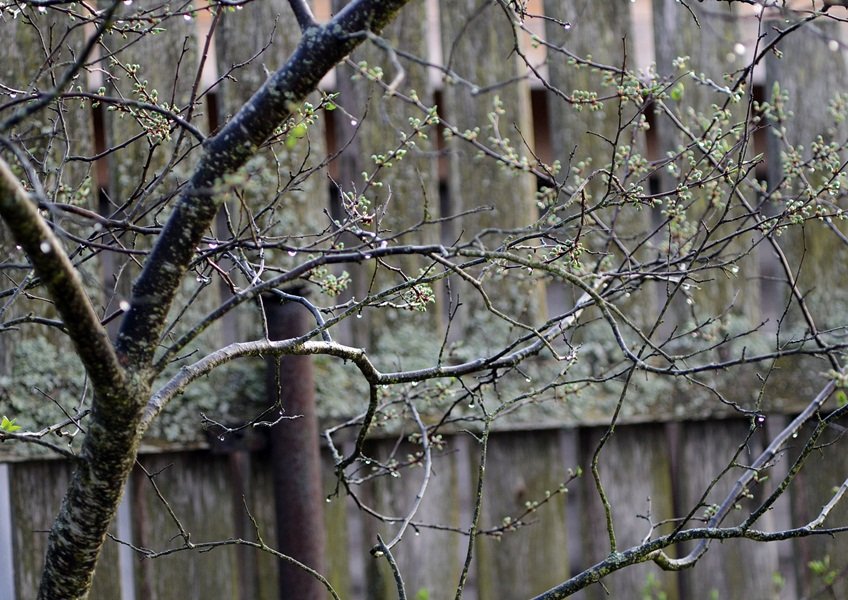 DSC_7202.JPG