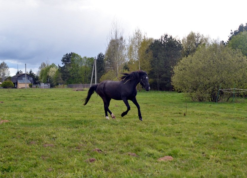 DSC_7410.JPG
