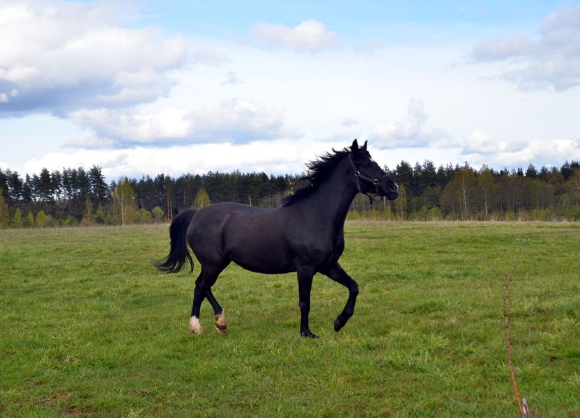 DSC_7415.JPG