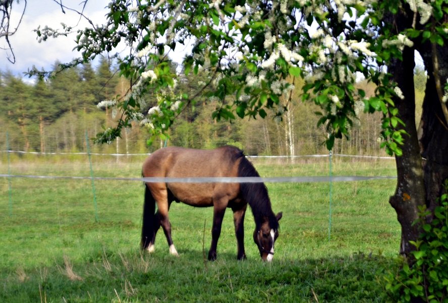 DSC_7430.JPG