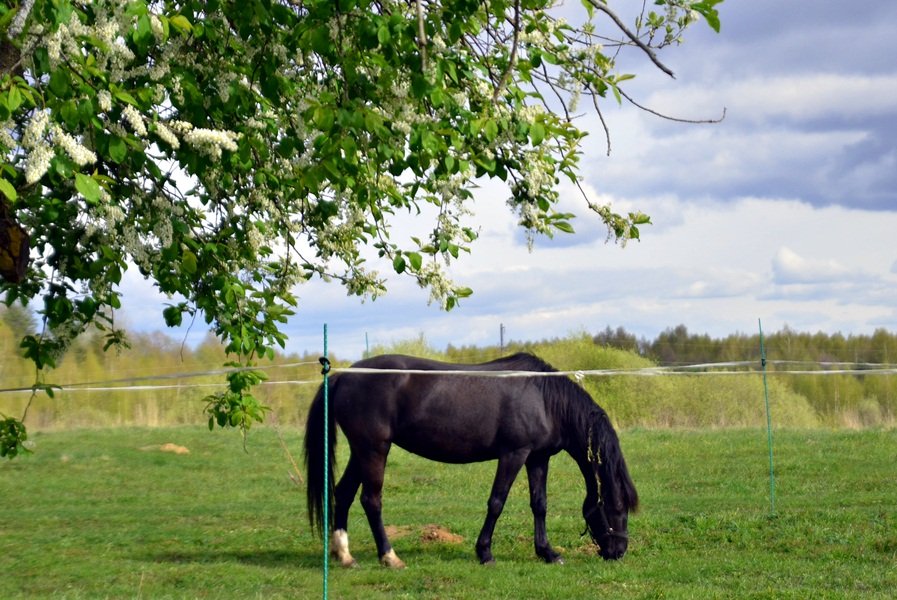 DSC_7435.JPG