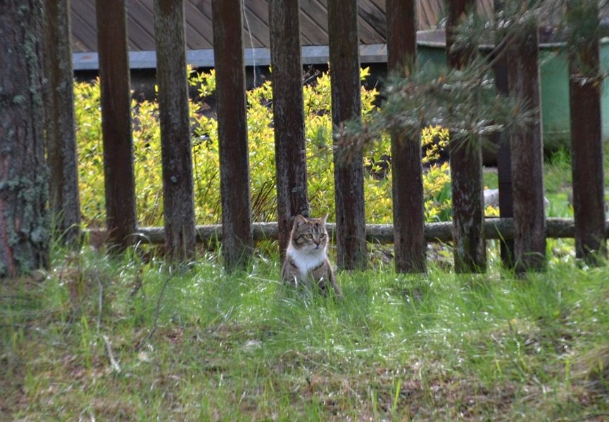 DSC_7456.JPG