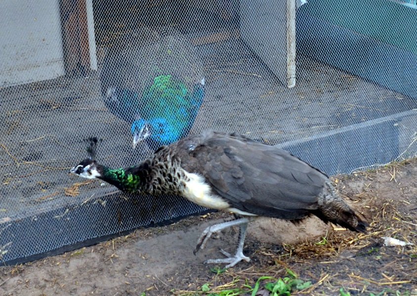 DSC_7574.JPG
