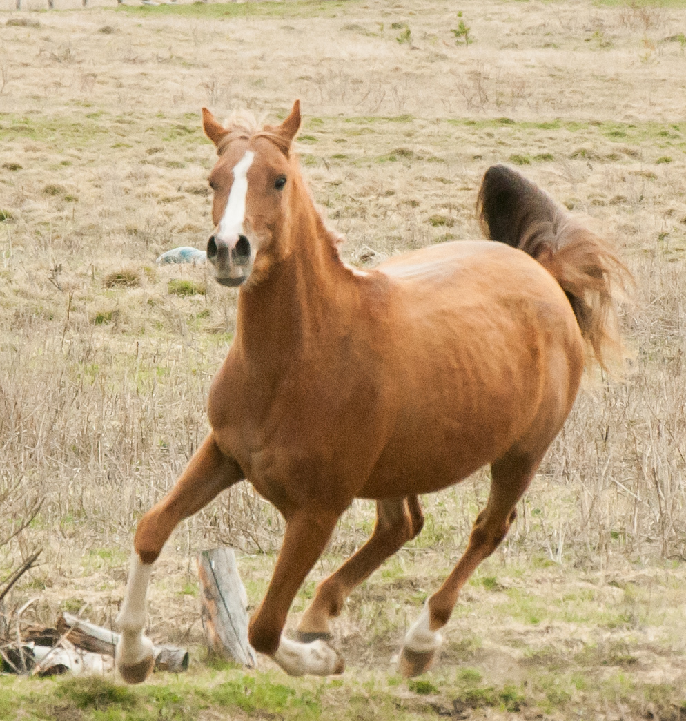 DSC_7598.jpg