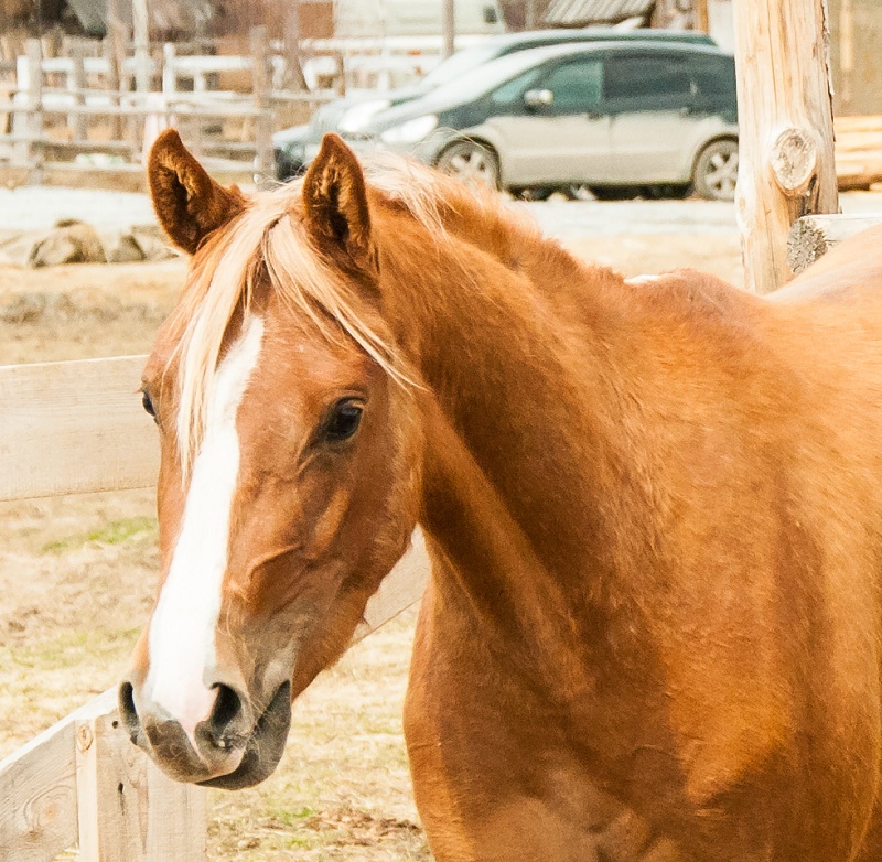 DSC_7663.jpg