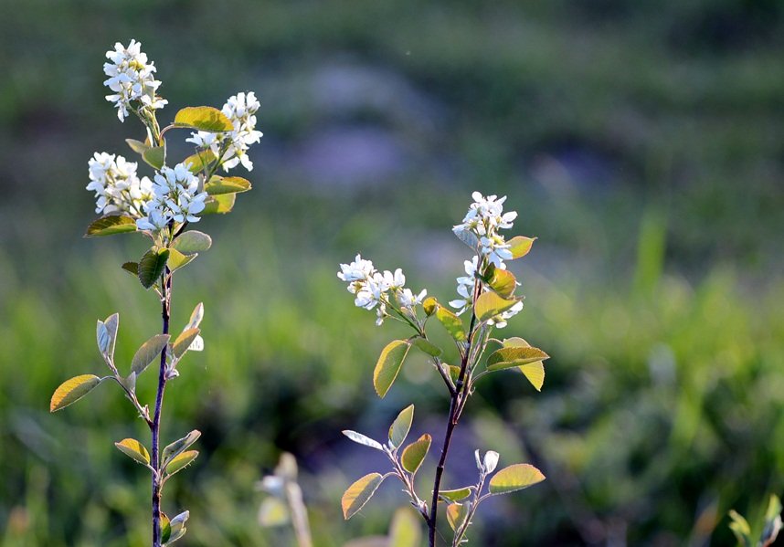 DSC_7767.JPG