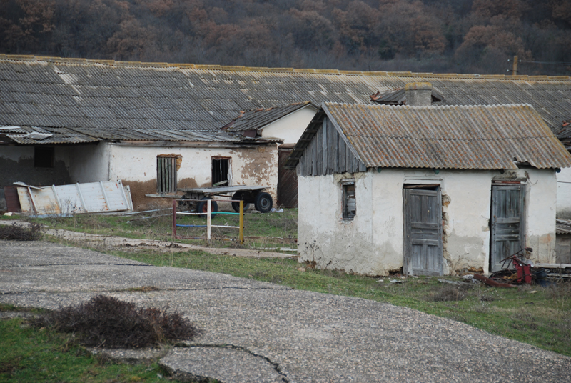 DSC_7786.jpg
