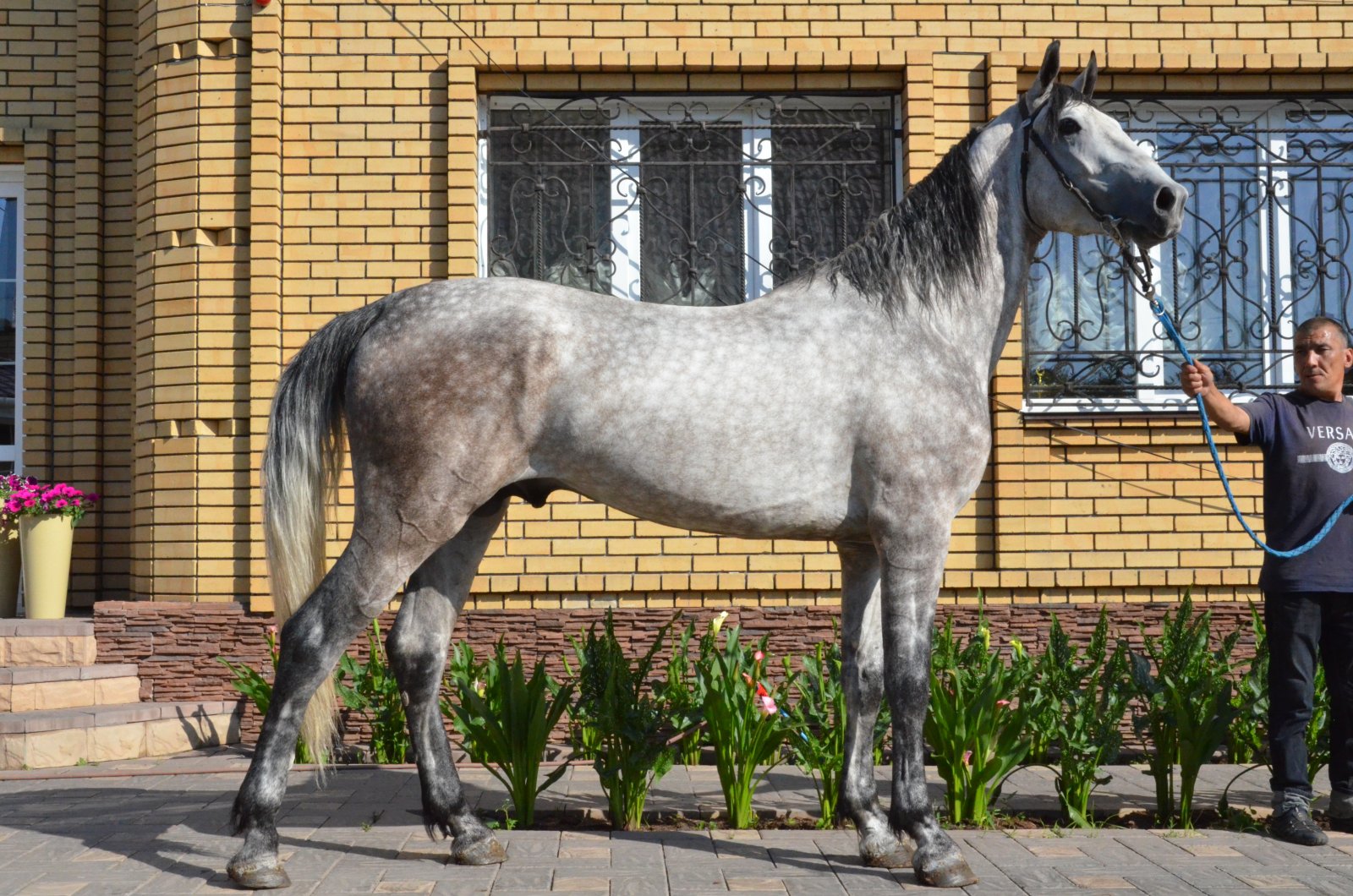 DSC_7794.JPG